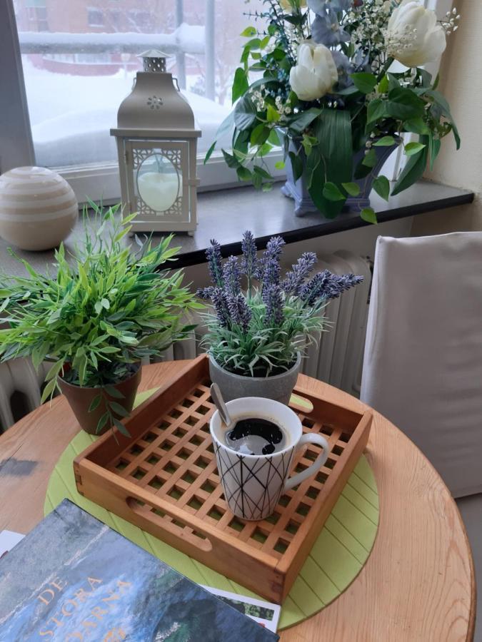 Pitea Vandrarhem Ngoại thất bức ảnh
